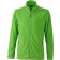 color:spring-green/iron-grey